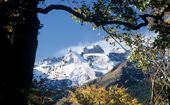 Explore the Mountains with the Montafon-Silvretta-Card | 4 for 3